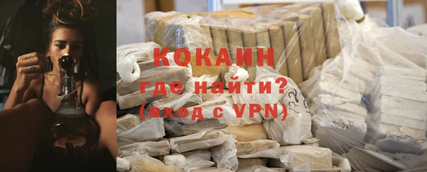 сатива Иннополис