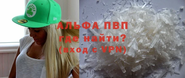 индика Инсар