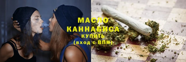 индика Инсар