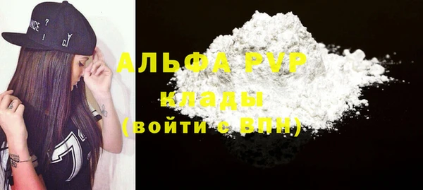 индика Инсар
