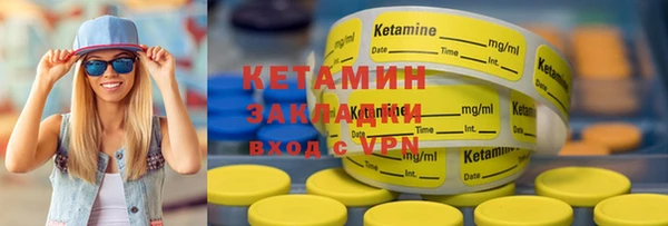 индика Инсар