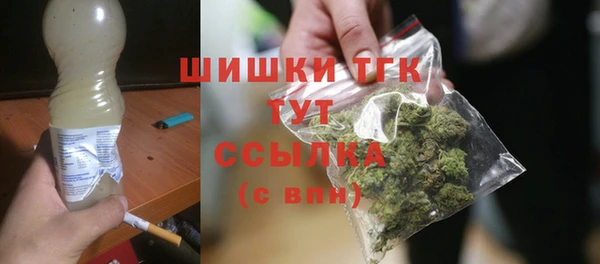 индика Инсар