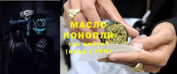 индика Инсар