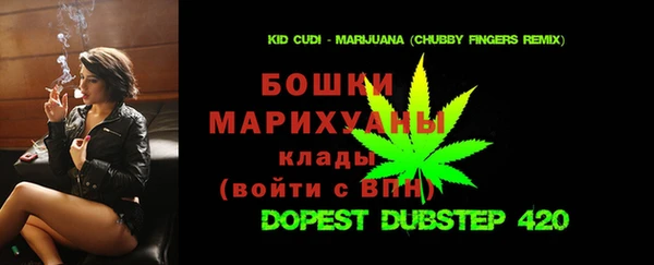 индика Инсар