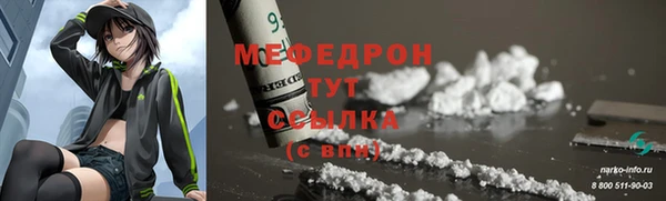 индика Инсар