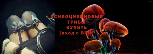 сатива Иннополис