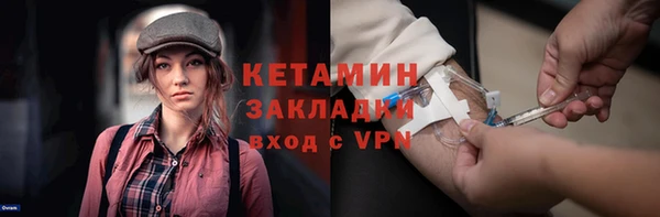 индика Инсар