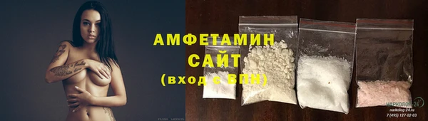 индика Инсар