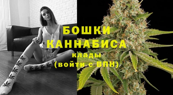 ECSTASY Инта