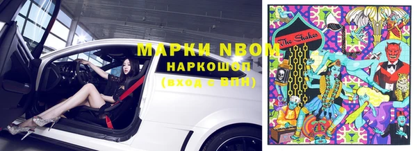 сатива Иннополис