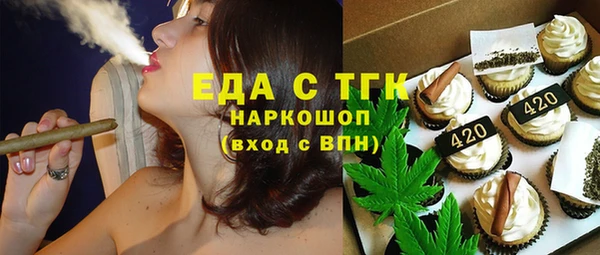 индика Инсар
