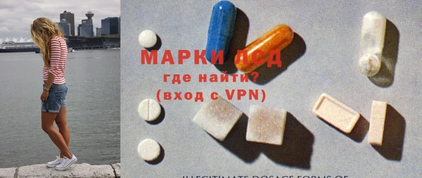 индика Инсар