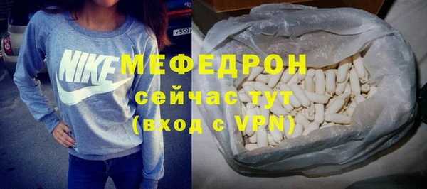 индика Инсар