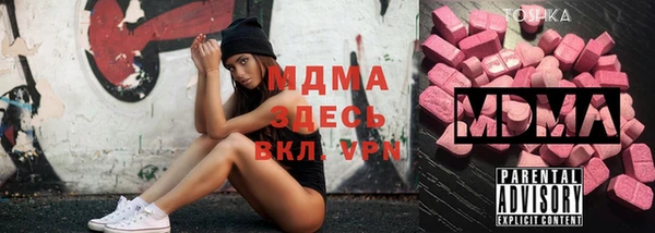 индика Инсар
