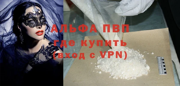 сатива Иннополис
