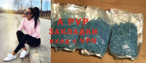 сатива Иннополис