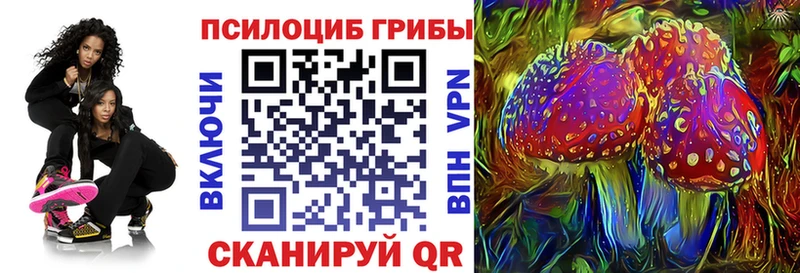 Купить  Цоци-Юрт  Галлюциногенные грибы Psilocybe 